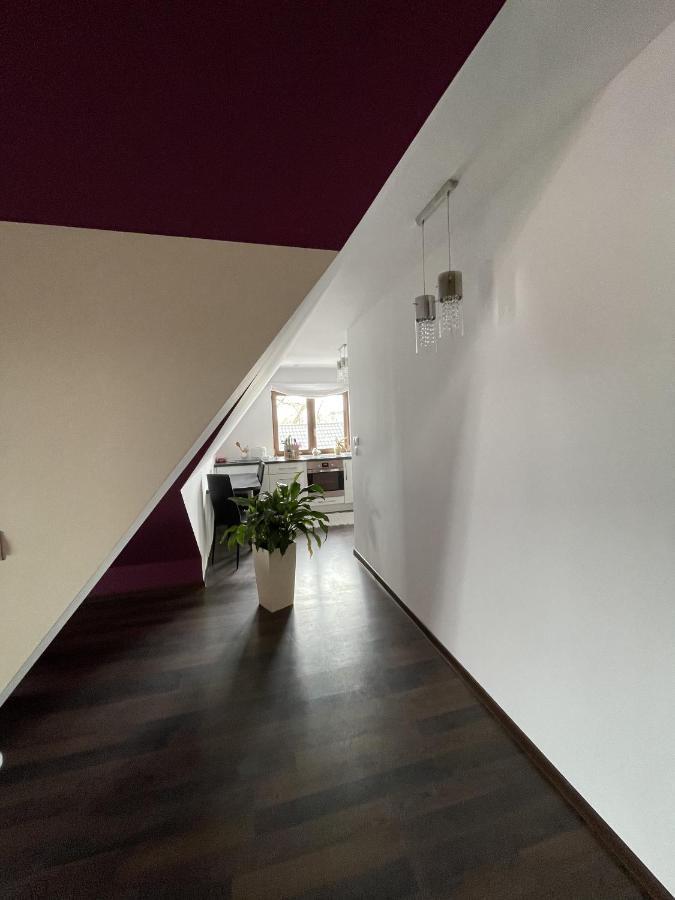 Apartament Podczerwone Чарни Дунаец Екстериор снимка