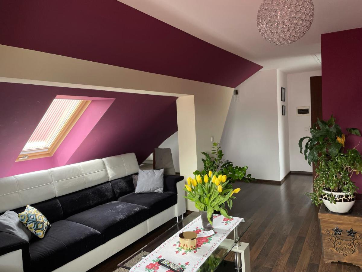 Apartament Podczerwone Чарни Дунаец Екстериор снимка